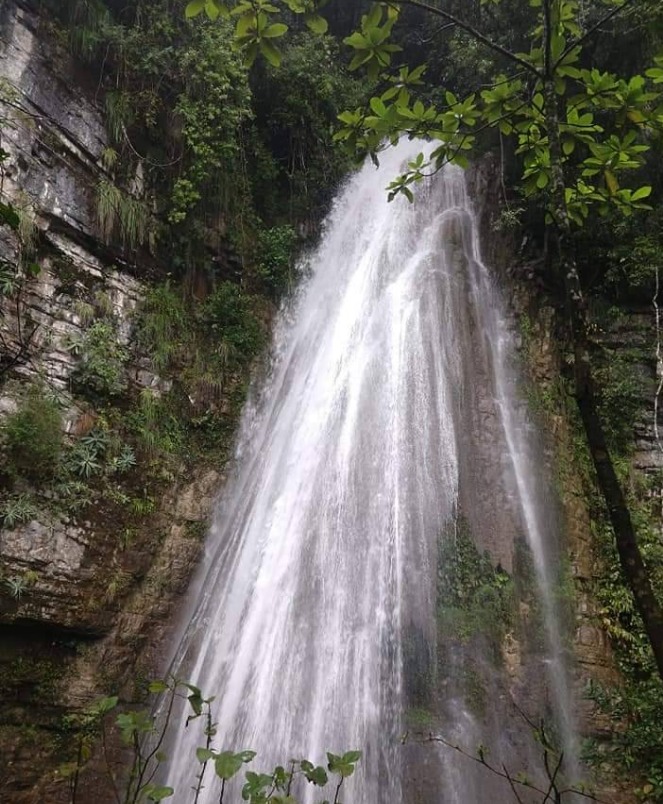 Xilitla cascadas